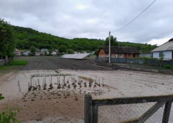 водний потік