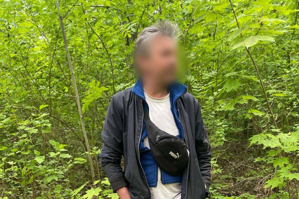 Незаконна вирубка дерев