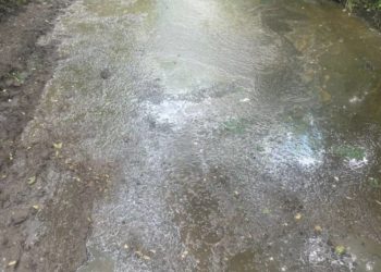 Незаконний злив відходів