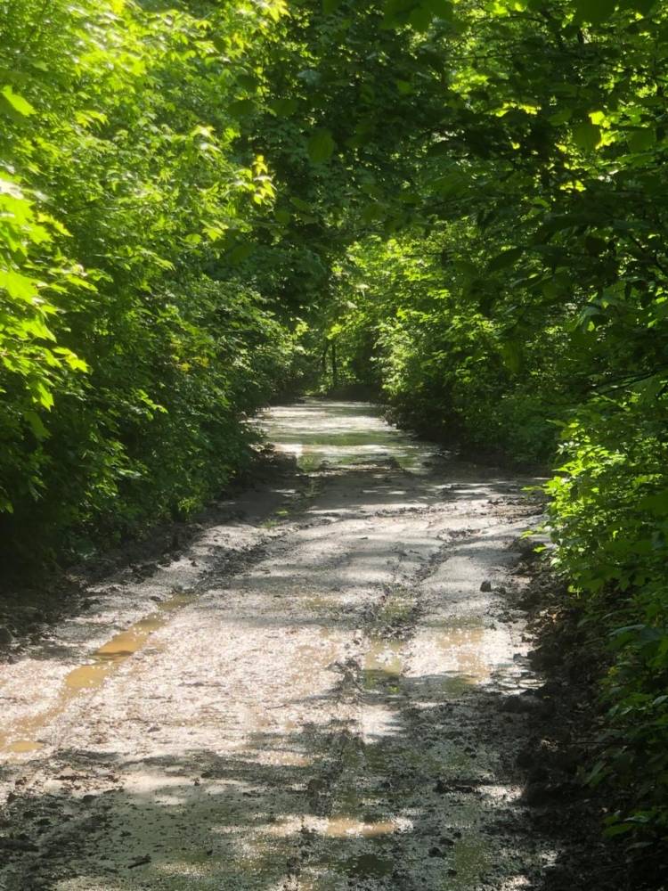 Незаконний злив відходів