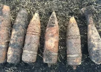 На Тернопільщині виявили боєприпаси