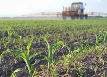 Кропіння полів на Тернопільщині