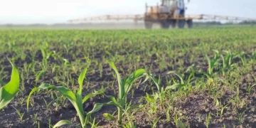 Кропіння полів на Тернопільщині