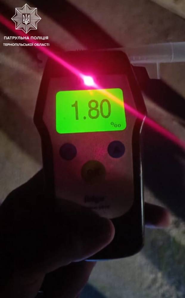 Поліція затримала порушника