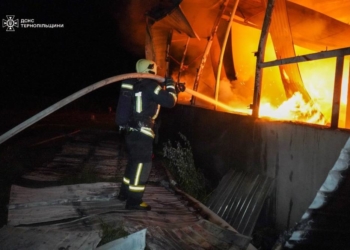 пожежа в деревообробному цеху