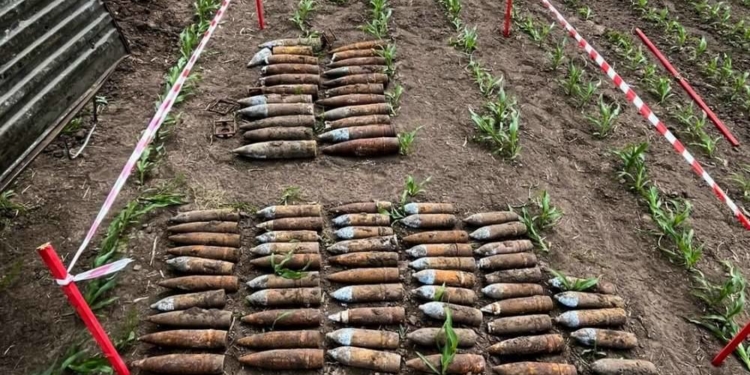 Знешкодили 77 артснарядів