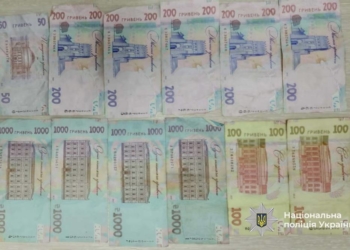 Поліція затримала крадія