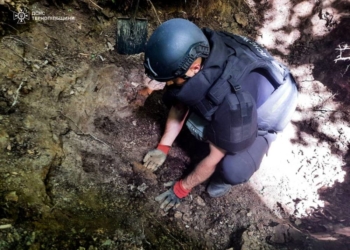 Рятувальники знешкодили боєприпаси