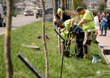 посади дерево ініціатива