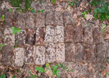 Виявили боєприпаси на Тернопільщині