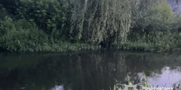 Потонув чоловік