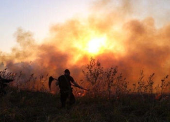 Вогонь на сміттєзвалищі