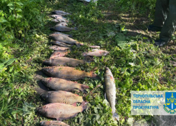 На Тернопільщині виявили браконьєрів