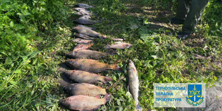 На Тернопільщині виявили браконьєрів