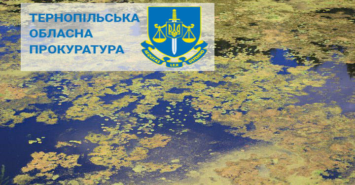 Забруднення річки на Тернопільщині