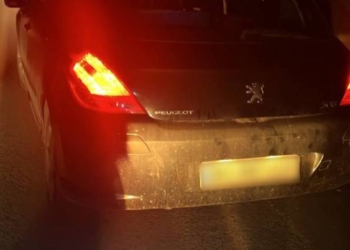 Патрульні затримали порушника