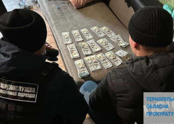 Поліція затримала колаборанта