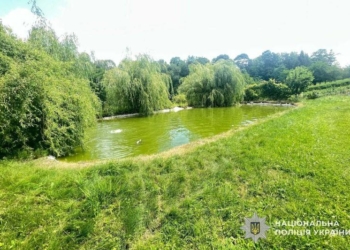 Ледь не потонула дитина