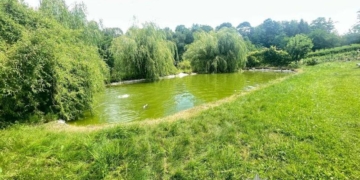 Ледь не потонула дитина