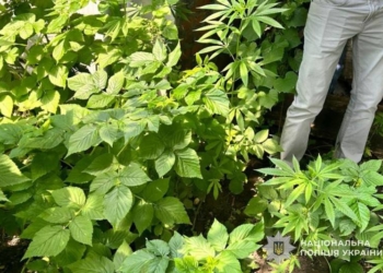 На Тернопільщині виявили наркотики