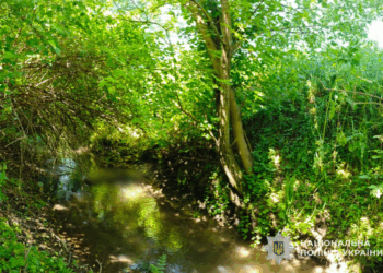 Потонув чоловік