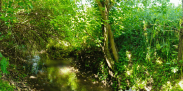 Потонув чоловік