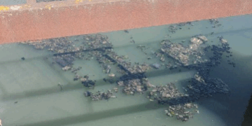 Забруднення річки на Тернопільщині