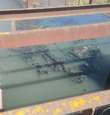 Забруднення річки на Тернопільщині