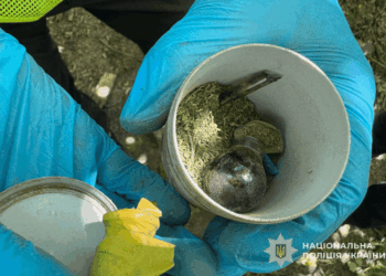 Поліція викрила наркоторговця