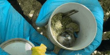 Поліція викрила наркоторговця