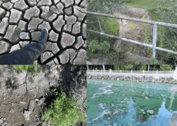 Водна криза Тернопільщини: коли київські міністерства ігнорують критичний рівень падіння місцевих річок