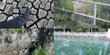 Водна криза Тернопільщини: коли київські міністерства ігнорують критичний рівень падіння місцевих річок