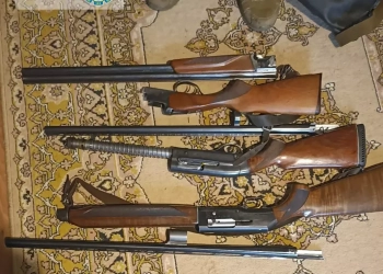 Поліція викрила мережу торговців зброєю