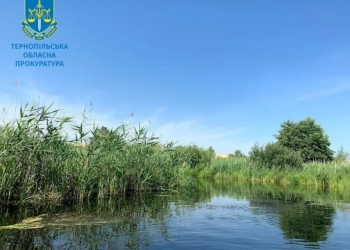 Прокуратура хоче передати землю громаді