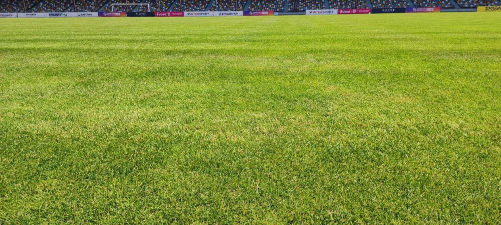 Поле стадіону у Тернополі