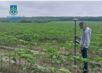Незаконне заволодіння землею