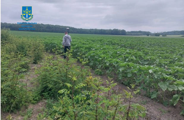 Незаконне заволодіння землею