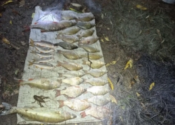 Зловили браконьєрів