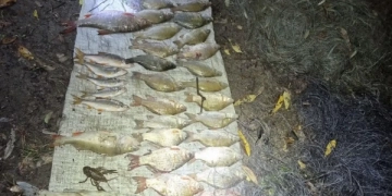 Зловили браконьєрів