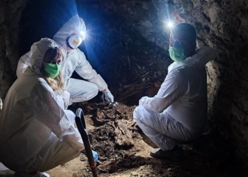 Дослідження в Кременці