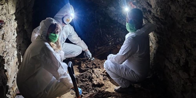 Дослідження в Кременці