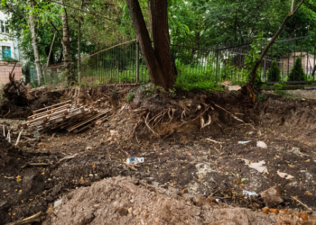 Екоінспекція