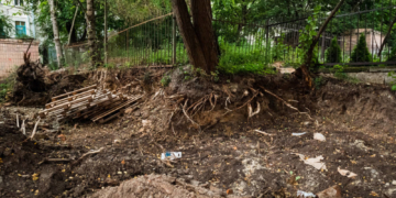 Екоінспекція