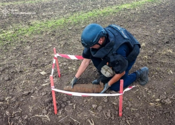 ДСНС знешкодили вибухівку