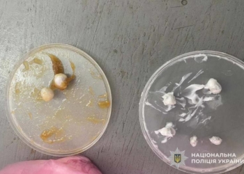 Наркотики в посилці