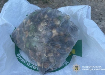 Поліція затримала наркоторговця