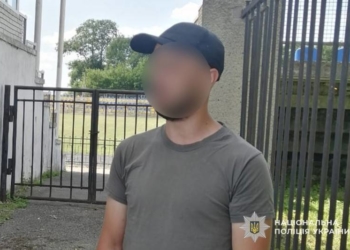 Поліція зафіксувала домашнє асильство