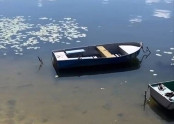 очистка Тернопліьсього ставу