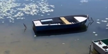 очистка Тернопліьсього ставу