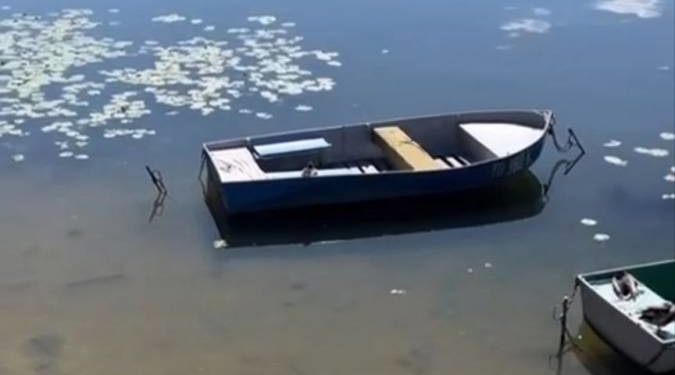 очистка Тернопліьсього ставу